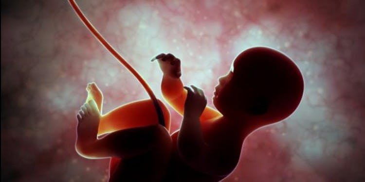دراسة تزعم: الجنين يتنصت على محادثات الأم بالثلث الأخير من الحمل